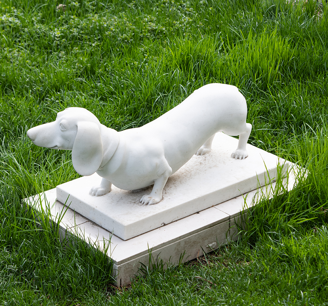 Dog cemetery plot