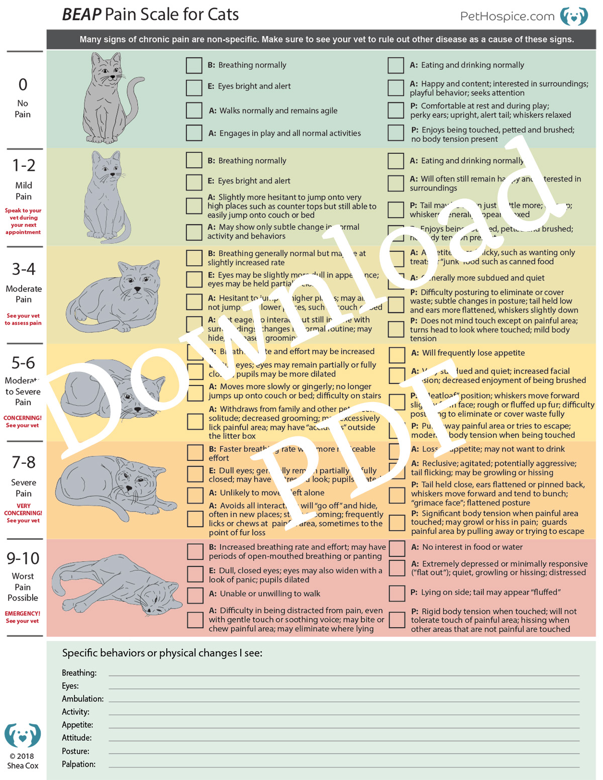 pain scale for cats