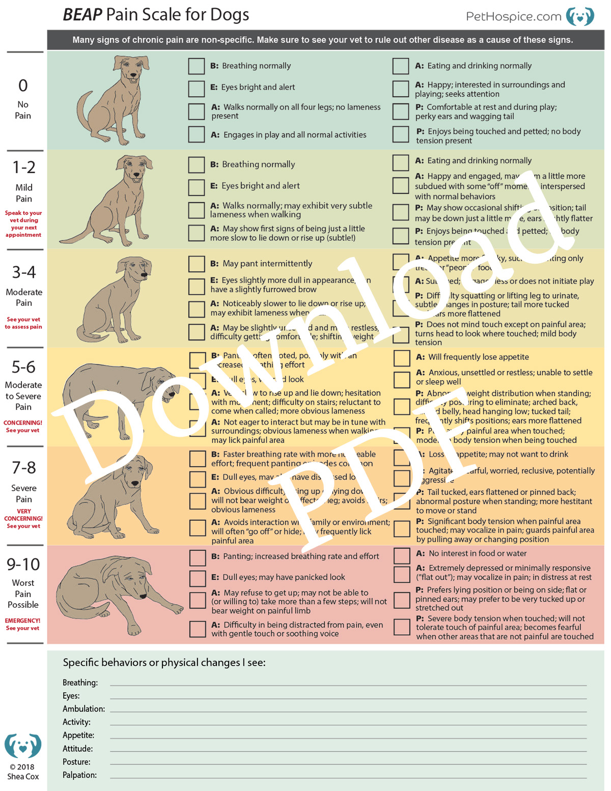 pain scale for dogs