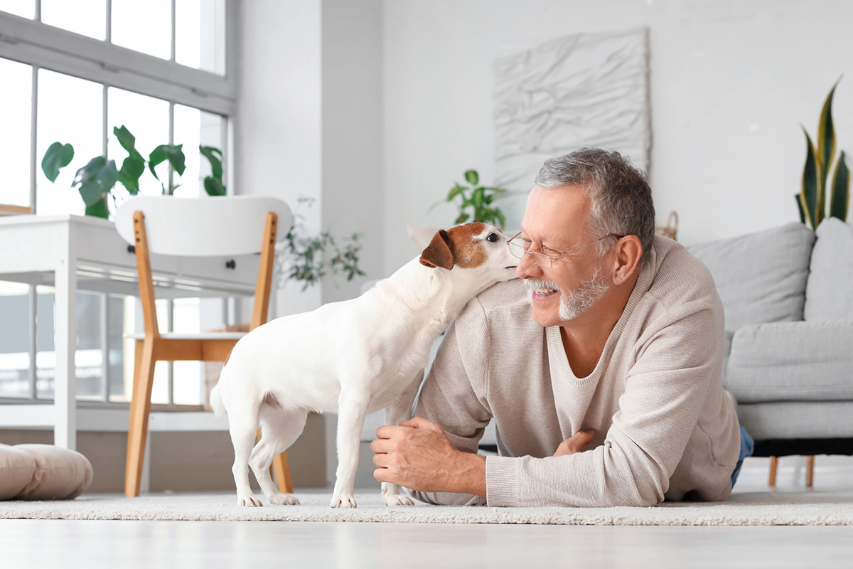 Dog kissing male owner on cheek