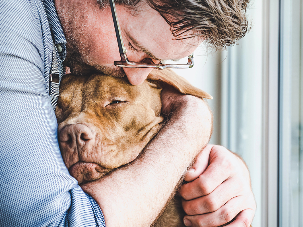 Man hugging and kissing dog on the head